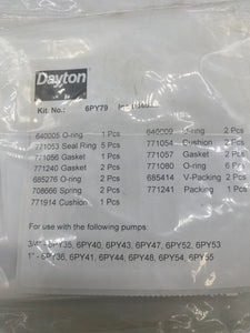 Dayton 6PY79 Air Motor Repair Kit, 3/4" & 1" (Open Box)