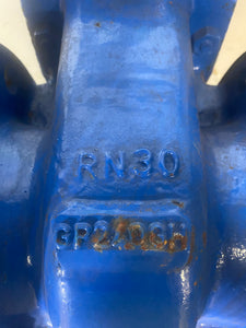 Dikkan 4" Gate Valve DN100, PN16, RN30, SG12 (No Box)