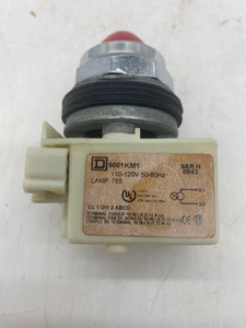 Square D 9001KP1R9 Series J Pilot Light (Open Box)