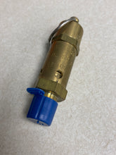 Load image into Gallery viewer, Kingston CRNOG3144 Relief Valve 1/4&quot; NPT, 100 PSI, 64 SCFM FIG 112C (No Box)