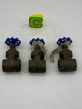 Load image into Gallery viewer, American Valve M300 1&quot; Gate Valve *Lot of (3)* (No Box)